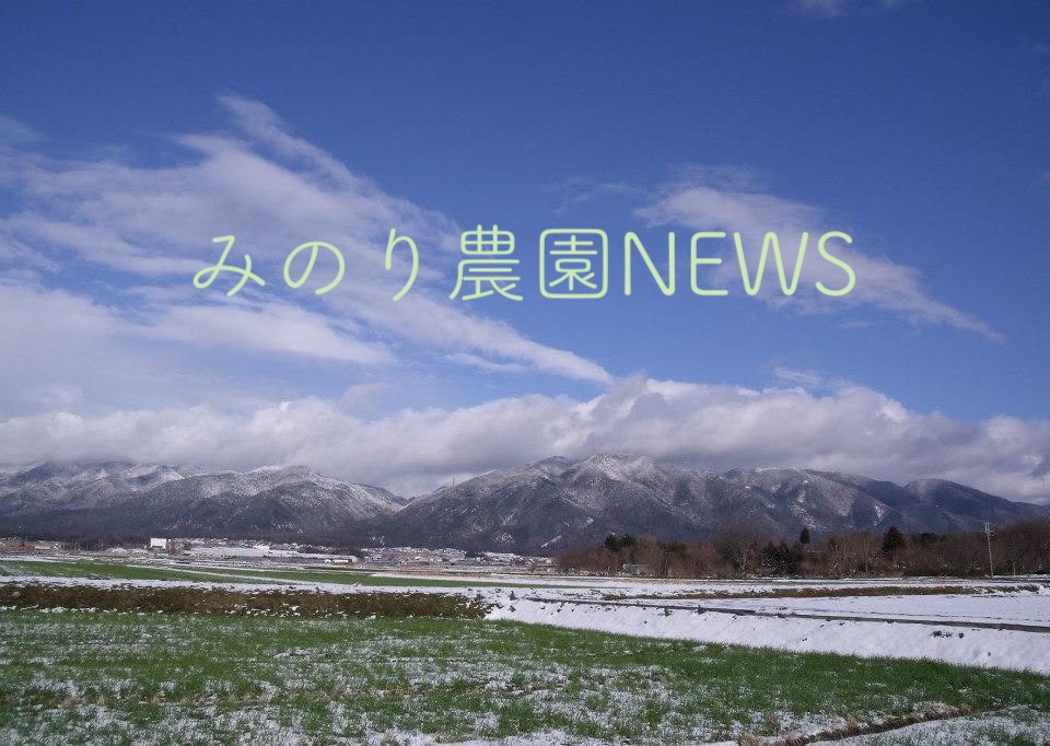 今年の農作物予定